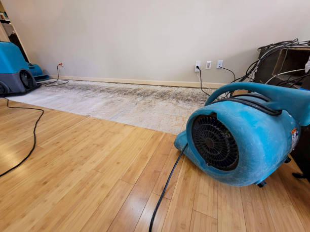 Professional Basement Flood Cleanup technician working in Little Rock, AR